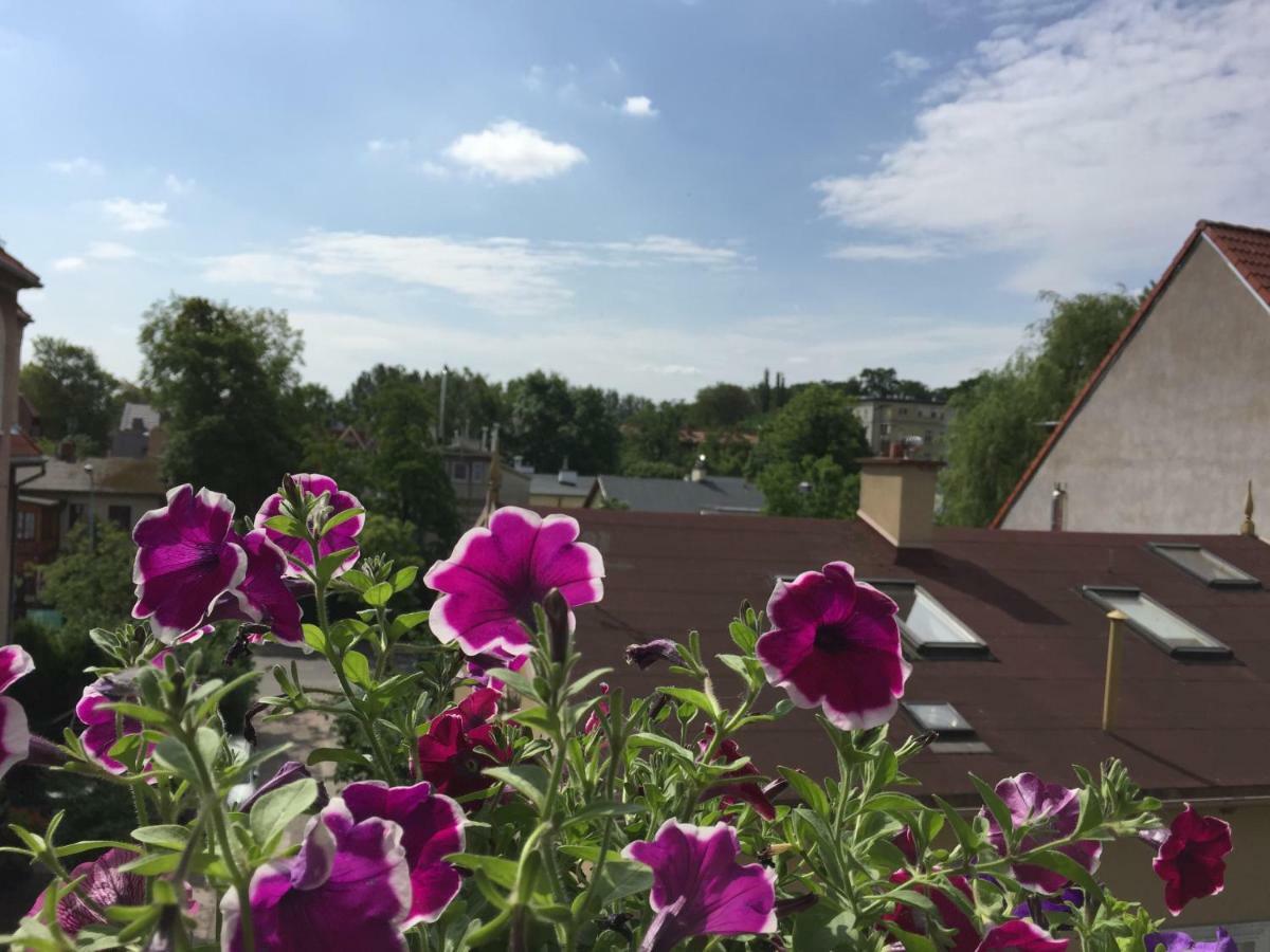 Chopina Loft Apartament